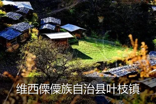 维西傈僳族自治县叶枝镇
